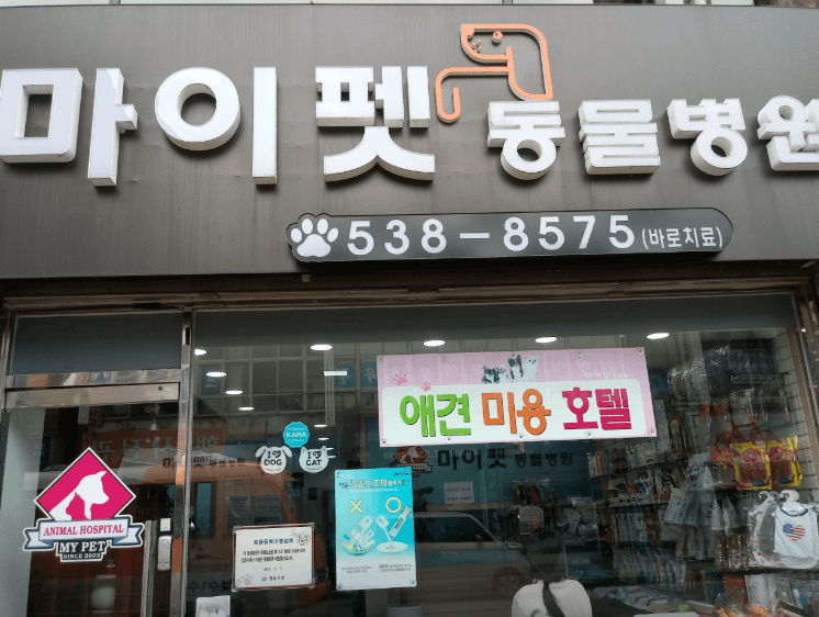 정읍시 동물병원