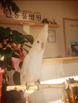 정읍시 동물병원