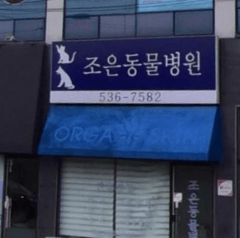 정읍시 동물병원