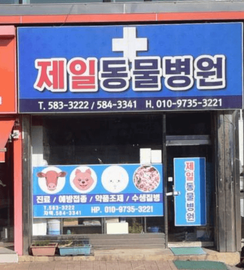 부안군 동물병원