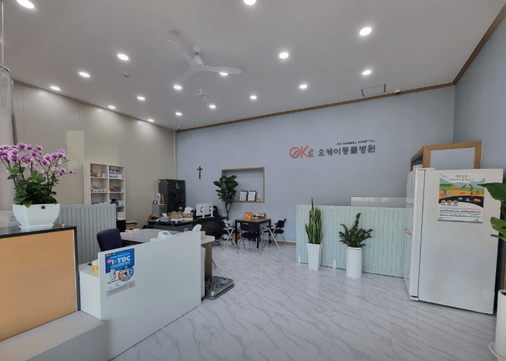 진안군 동물병원