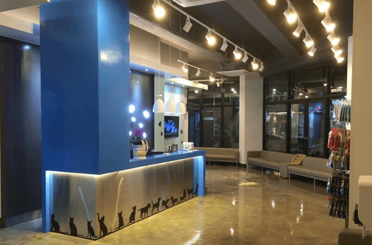 익산시 동물병원