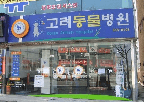 익산시 동물병원