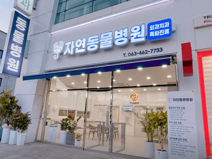 군산시 동물병원