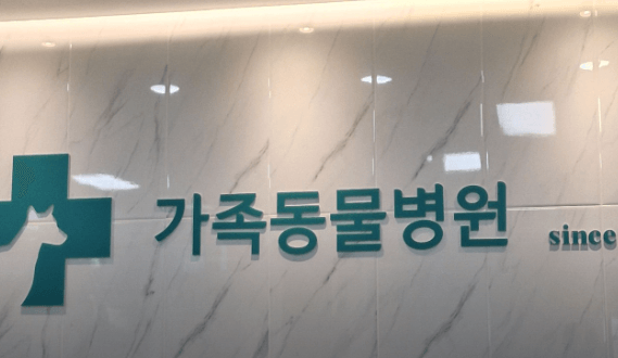 군산시 동물병원