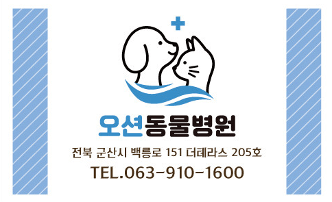 군산시 동물병원