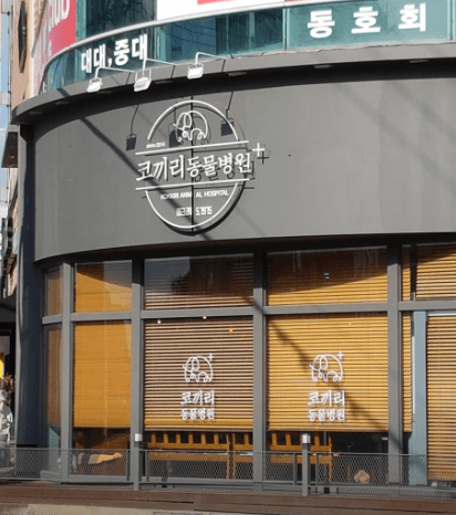 전주시 완산구 동물병원