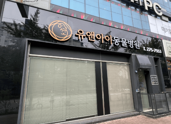 전주시 완산구 동물병원