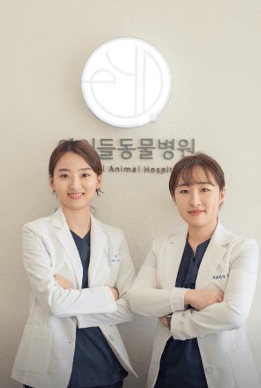 전주시 덕진구 동물병원