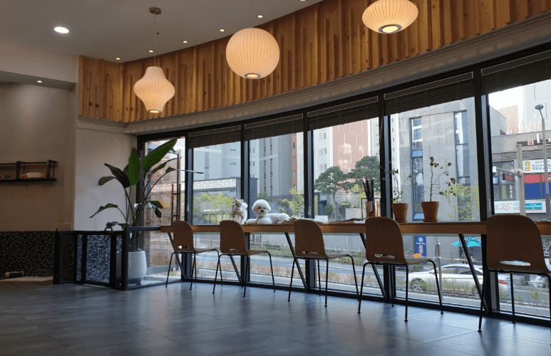 전주시 덕진구 동물병원