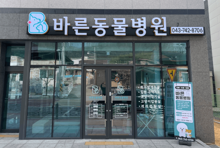 영동군 동물병원