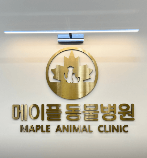 옥천군 동물병원