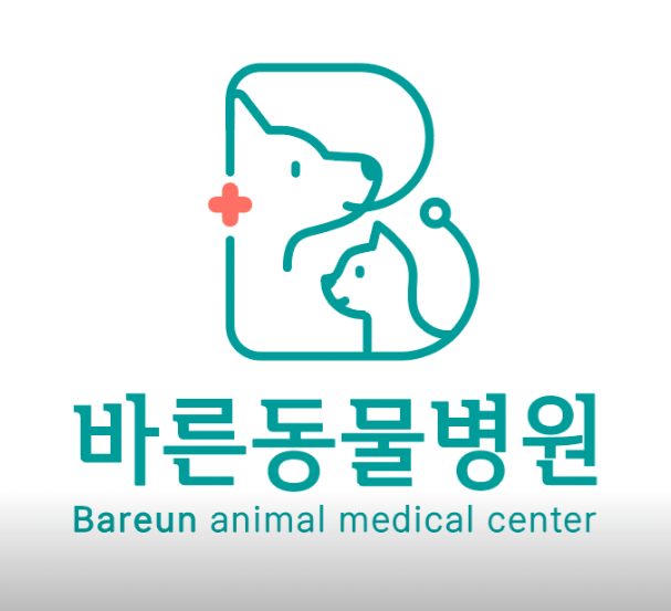 옥천군 동물병원