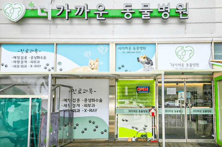 보은군 동물병원