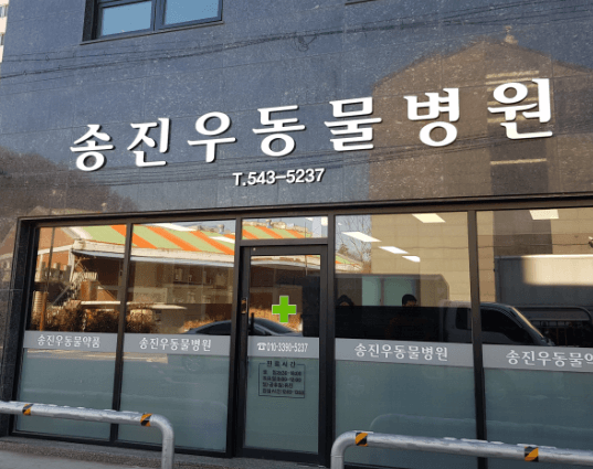 보은군 동물병원