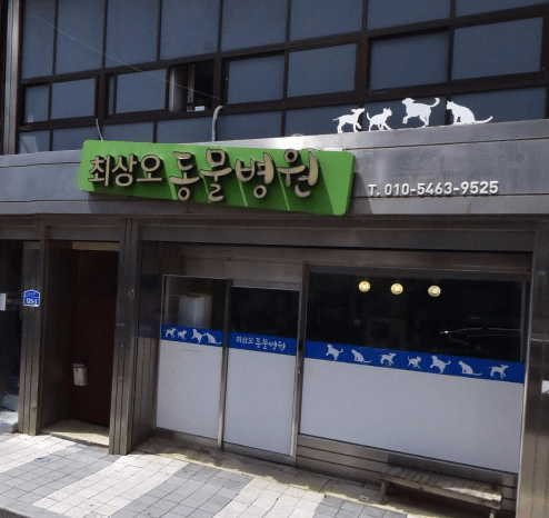 보은군 동물병원