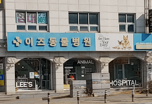 보은군 동물병원