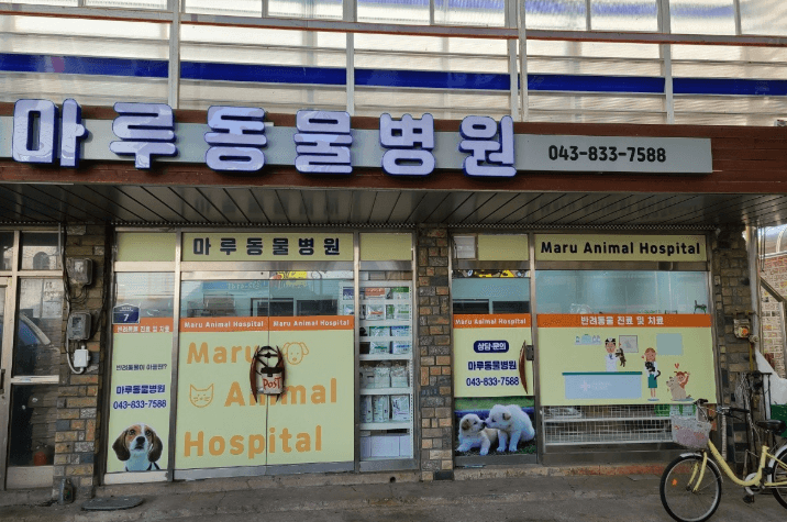 괴산군 동물병원