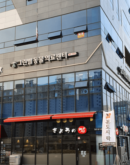 음성군 동물병원