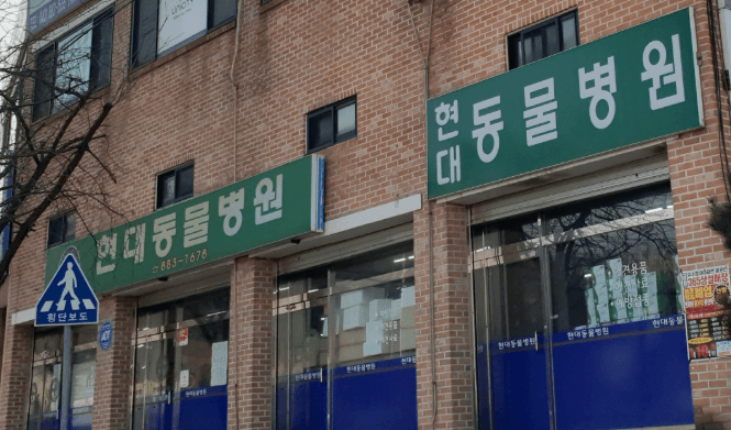 음성군 동물병원