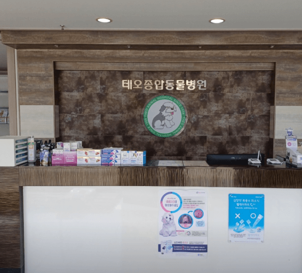 음성군 동물병원