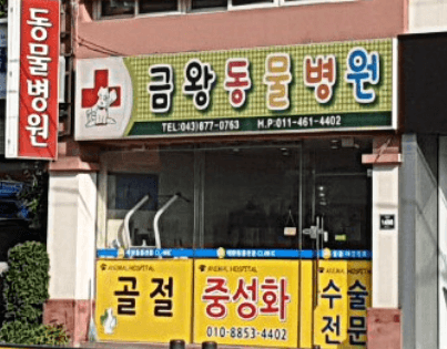 음성군 동물병원