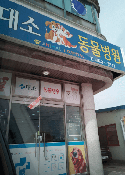 음성군 동물병원