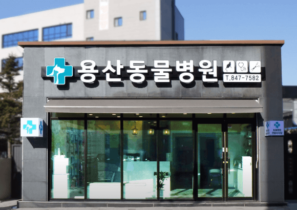 충주시 동물병원