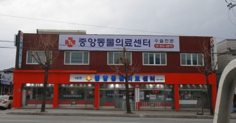 충주시 동물병원