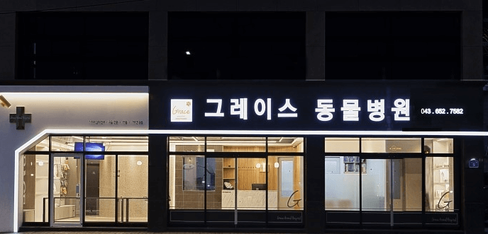 제천시 동물병원