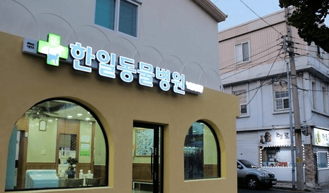 제천시 동물병원