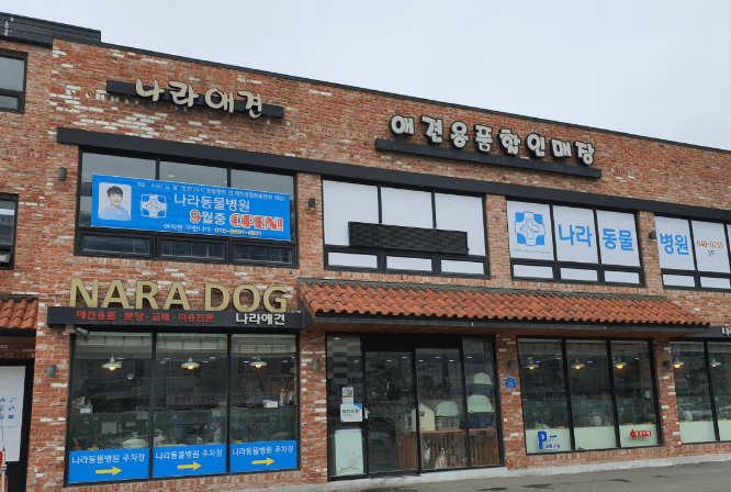 제천시 동물병원