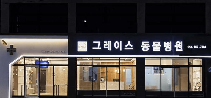 단양군 동물병원