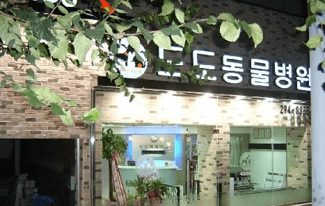 청주시 상당구 동물병원