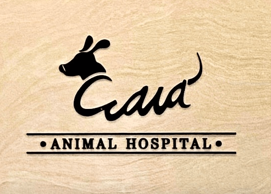 청주시 서원구 동물병원