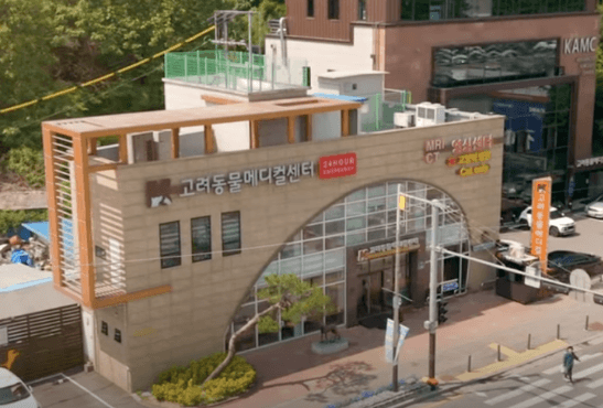 청주시 서원구 동물병원