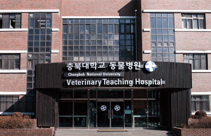 청주시 서원구 동물병원