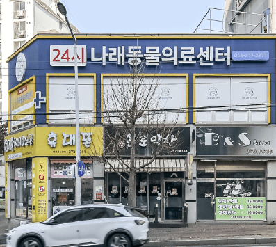 청주시 서원구 동물병원