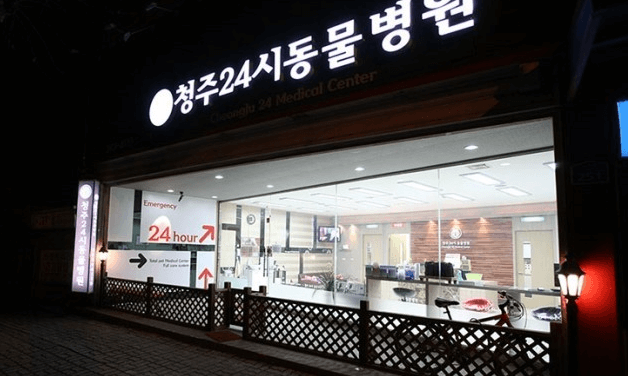 청주시 서원구 동물병원