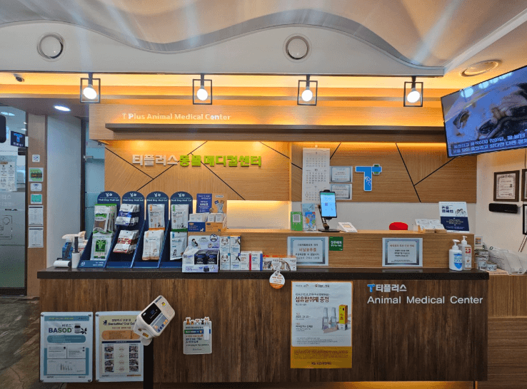 청주시 청원구 동물병원