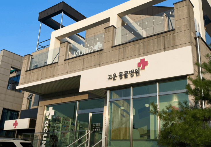 세종시 동물병원