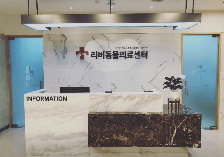 세종시 동물병원