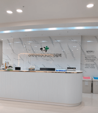 세종시 동물병원