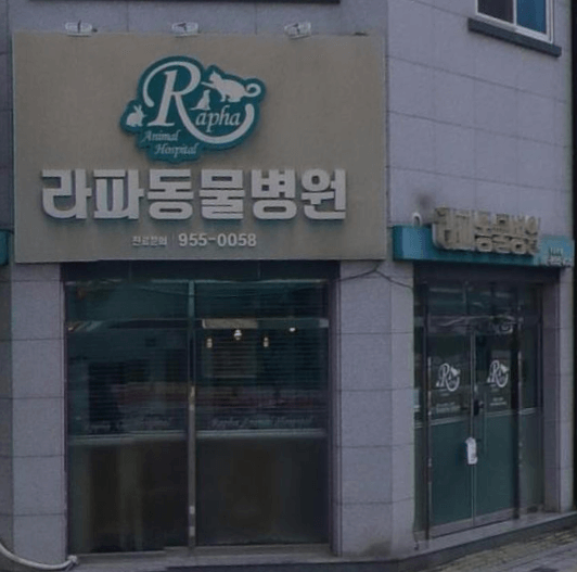 고령군 동물병원