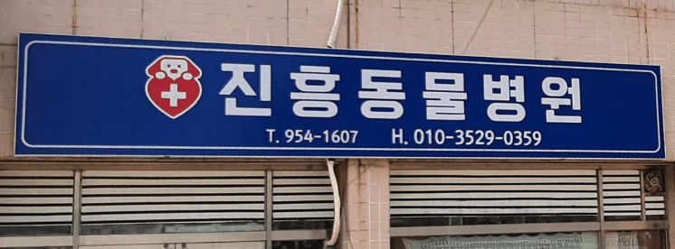 고령군 동물병원