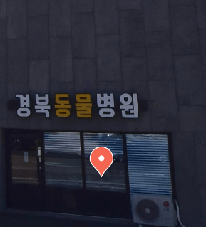 고령군 동물병원