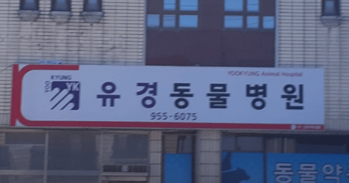 고령군 동물병원