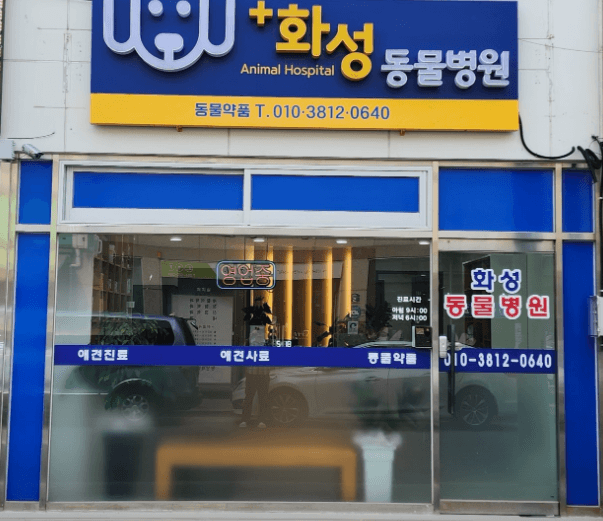 성주군 동물병원