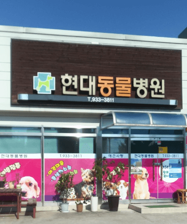 성주군 동물병원