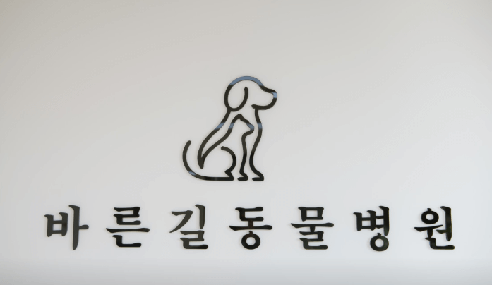 성주군 동물병원